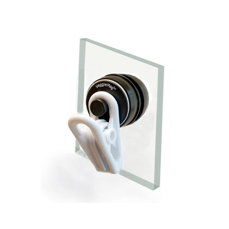 Veggie Mags-Magnetic Floating Seaveggies Clip Two Little Fishies